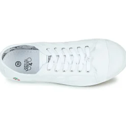 Le Temps des Cerises - BASIC LACE Blanc