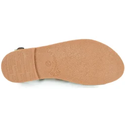 Best Les Tropéziennes par M Belarbi - CHOU