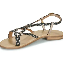 Discount Les Tropéziennes par M Belarbi - HOMARIE