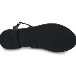 Best Les Tropéziennes par M Belarbi - OBALY Noir