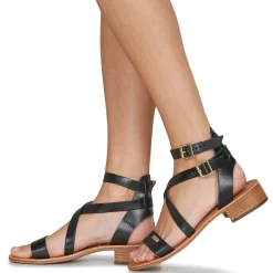 Best Les Tropéziennes par M Belarbi - HOCEAN Noir