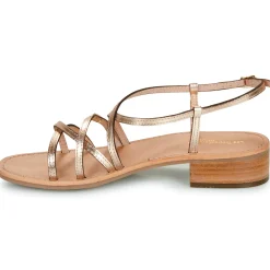 Discount Les Tropéziennes par M Belarbi - HARRYNA Doré