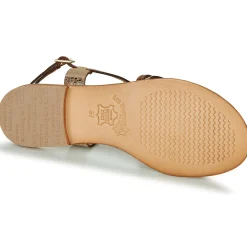 Discount Les Tropéziennes par M Belarbi - HARRY