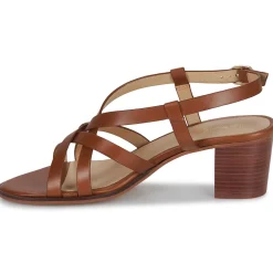 Discount Les Tropéziennes par M Belarbi - LYMA Marron