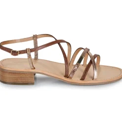 Best Les Tropéziennes par M Belarbi - HARRYNA