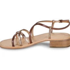 Best Les Tropéziennes par M Belarbi - HARRYNA