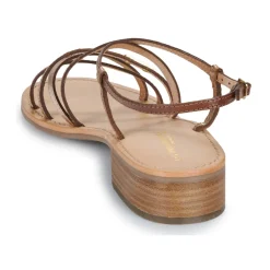 Best Les Tropéziennes par M Belarbi - HARRYNA