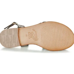 Discount Les Tropéziennes par M Belarbi - HARRY