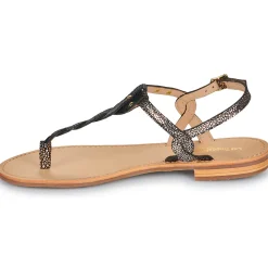 Best Les Tropéziennes par M Belarbi - HAMSONG