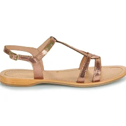 Best Les Tropéziennes par M Belarbi - HACKLIO Rosedoré