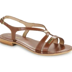 Discount Les Tropéziennes par M Belarbi - HAMOON Cognac