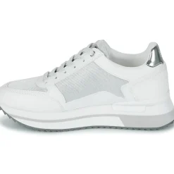 New Lumberjack - CECILIA