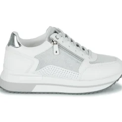 New Lumberjack - CECILIA