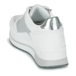 New Lumberjack - CECILIA