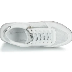 New Lumberjack - CECILIA