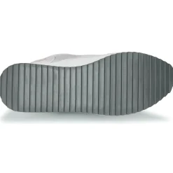 New Lumberjack - CECILIA