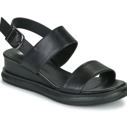 Hot Lumberjack - FILEROY Noir