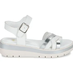 Online Lumberjack - MAURA