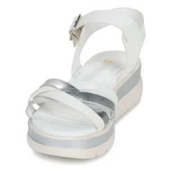 Online Lumberjack - MAURA