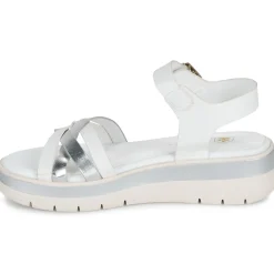 Online Lumberjack - MAURA