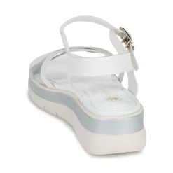 Online Lumberjack - MAURA