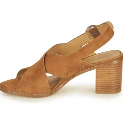 Outlet Maison Minelli - CASIMIERA Marron