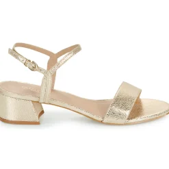 New Maison Minelli - F630004MET Doré