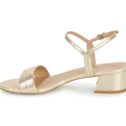 New Maison Minelli - F630004MET Doré