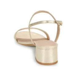 New Maison Minelli - F630004MET Doré