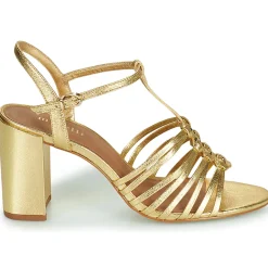 Maison Minelli - THERENA Doré