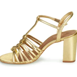 Maison Minelli - THERENA Doré