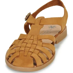 Best MEDUSE - SUNVILLE Cognac