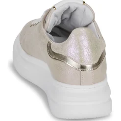 Outlet Meline - 662ACC-BI-E576