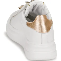 Discount Meline - 607ACC-BI-E619