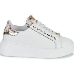 Discount Meline - 608ACC-LO-E883