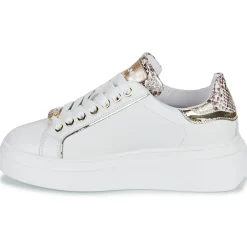 Discount Meline - 608ACC-LO-E883