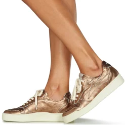 Sale Meline - BZ513 Doré