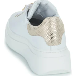 Sale Meline - LO247-ACC-P9096