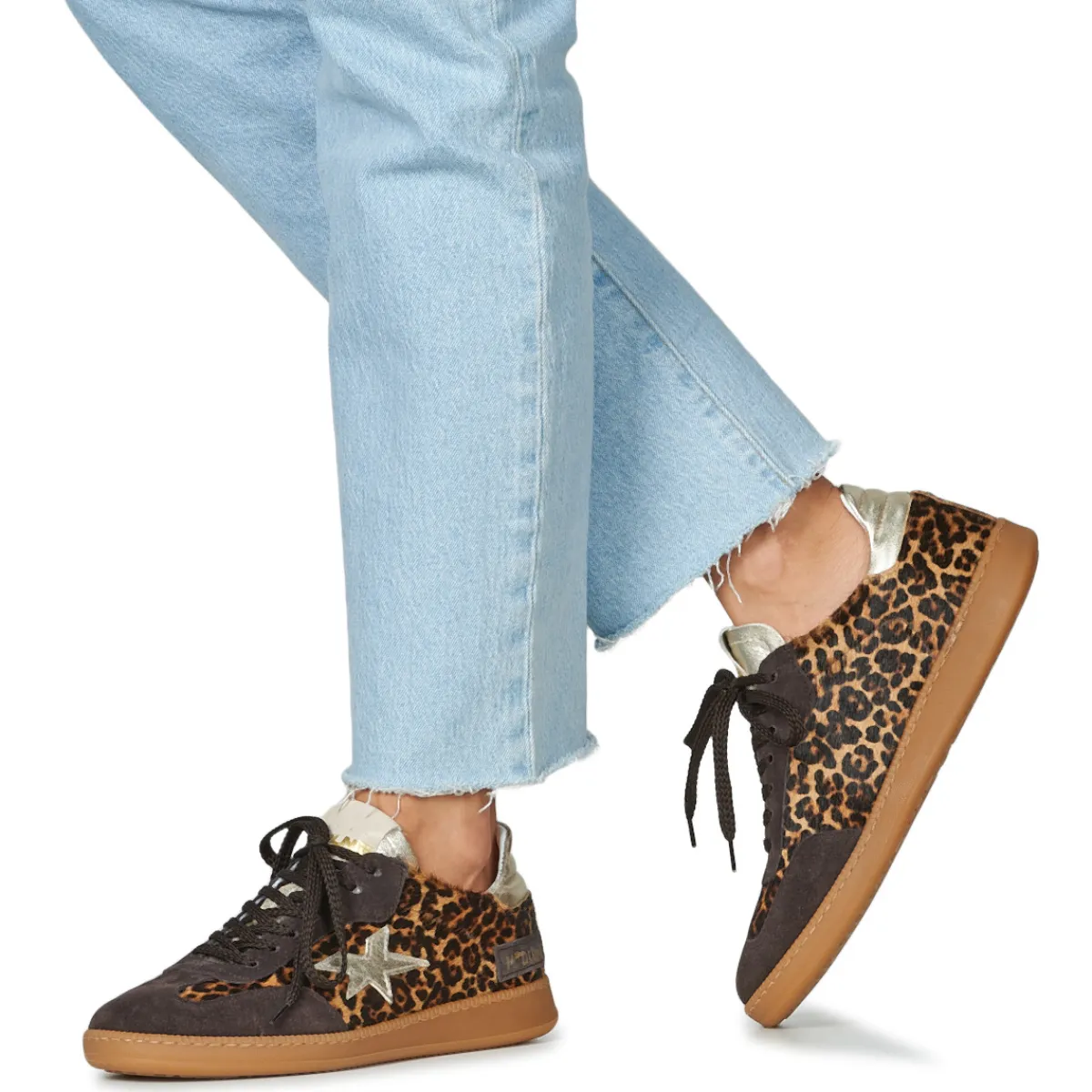 Online Meline - MELISTAR