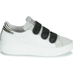 New Meline - SCRATCHO