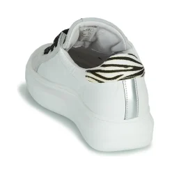 New Meline - SCRATCHO