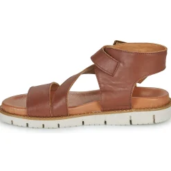 Online Metamorf'Ose - NANOPHAGE Marron