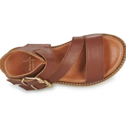 Online Metamorf'Ose - NANOPHAGE Marron