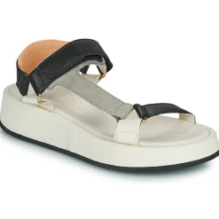 Online Mjus - ACIGHE