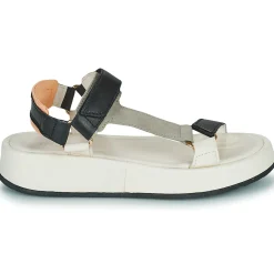 Online Mjus - ACIGHE