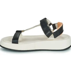 Online Mjus - ACIGHE