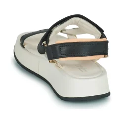 Online Mjus - ACIGHE