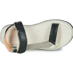 Online Mjus - ACIGHE