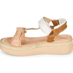 Online Mjus - PASA TREK