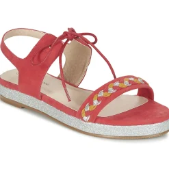 Best Moony Mood - GLOBUNE Rose